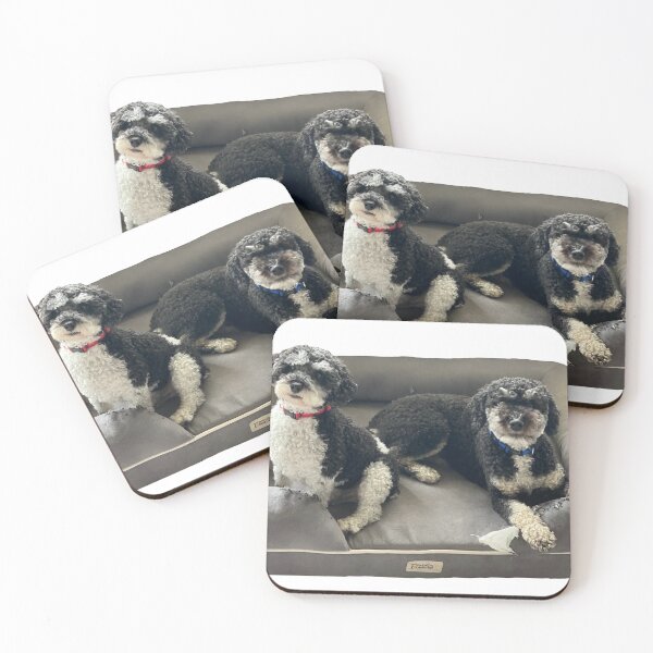 Item preview, rocky and loki in bed designed and sold by mrichman1.