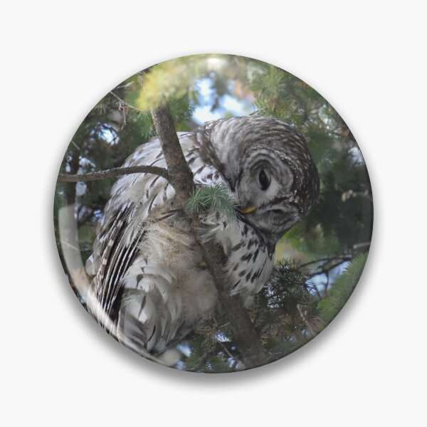 Item preview, Sleepy Owl designed and sold by Jackthehare.