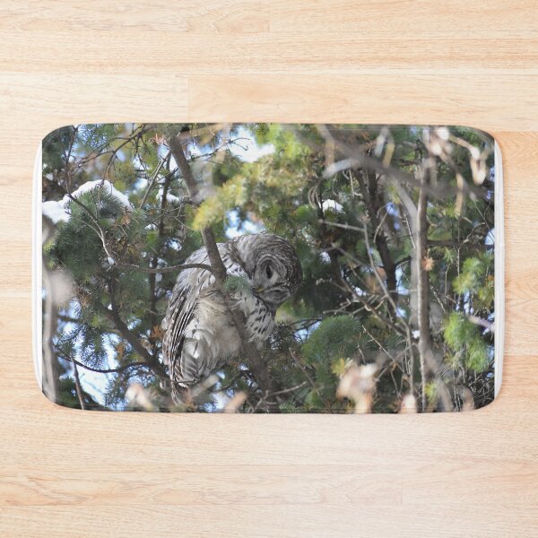 Item preview, Sleepy Owl designed and sold by Jackthehare.