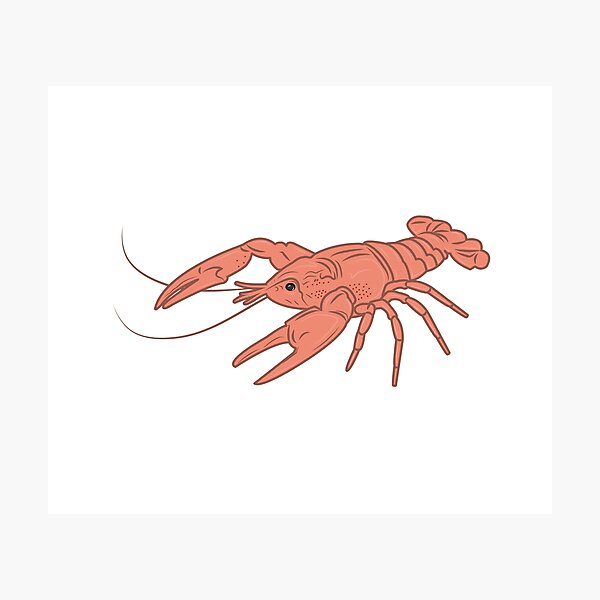 Item preview, Lobster designed and sold by sashaaliberti.