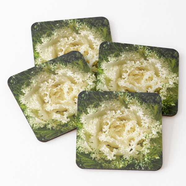 Item preview, A Green and White Ornamental Cabbage designed and sold by MomentofPercep.