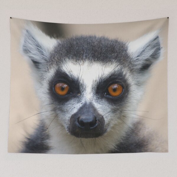 Artikelvorschau, Madagaskar Lemur entworfen und verkauft von MarieClaude1954.