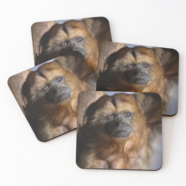 Item preview, Howler Monkey designed and sold by Savannah Gibbs.