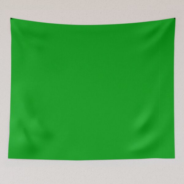 Aperçu de l'œuvre Couleur verte unie créée et vendue par ArtsyJulez.