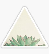 Echeveria Sticker