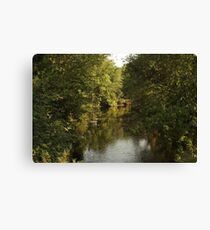 The Bark River Canvas Print