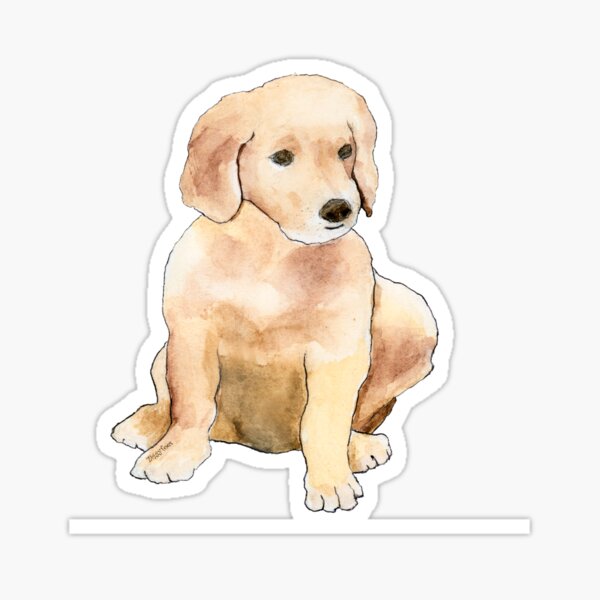 Golden Puppy Sticker