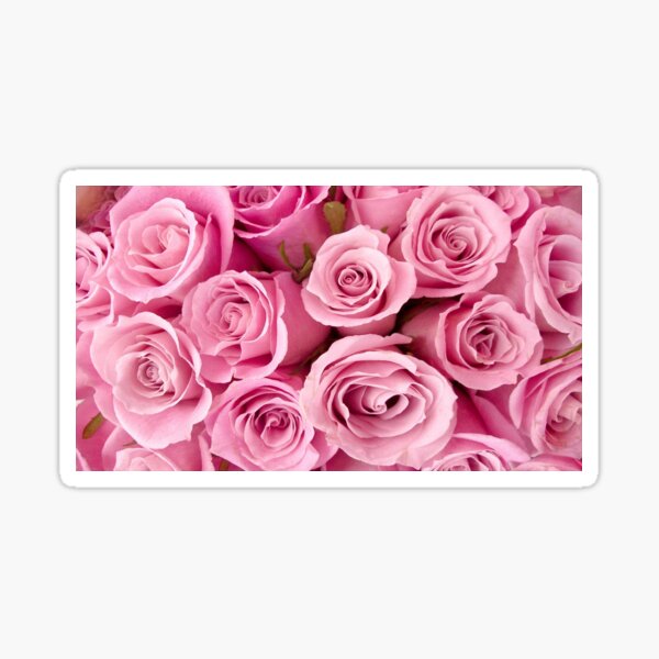 Item preview, Pink Roses designed and sold by emilysmithart.