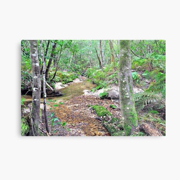 Item preview, Creek In The Forest designed and sold by Terry Everson.