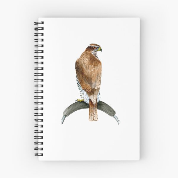 Item preview, Goshawk designed and sold by Fozzyartsales.