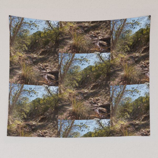 Item preview, Hiking in Madera Canyon, Arizona designed and sold by Lucinda Walter.