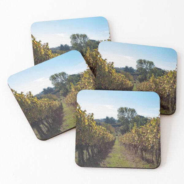 Item preview, Photograph of a row of grapevines in a winery vineyard in Italy in the autumn blue skies ideal gift for traveling friends and coworkers. designed and sold by g2rdsmith.