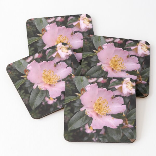 Item preview, Camellia designed and sold by This and That.