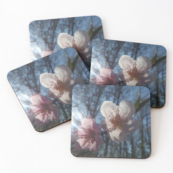 Item preview, Prunus designed and sold by This and That.