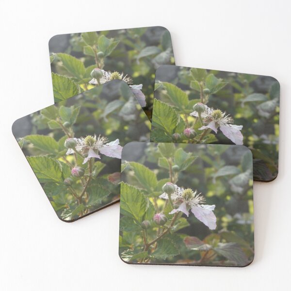 Item preview, Blackberry Blossom designed and sold by This and That.