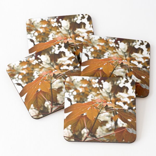 Item preview, Autumn Sun. designed and sold by shesjustcurious.