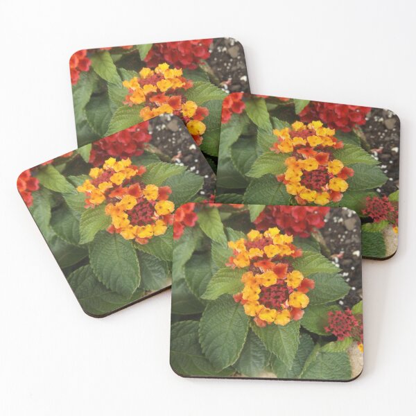Item preview, Lantana designed and sold by This and That.