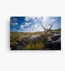 Beautiful Burren Canvas Print