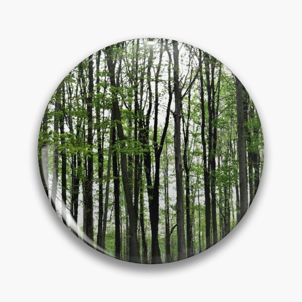 Artikelvorschau, Waldweg entworfen und verkauft von ThruJensLens.