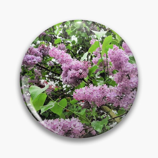 Item preview, Lilacs designed and sold by Lesliebc.