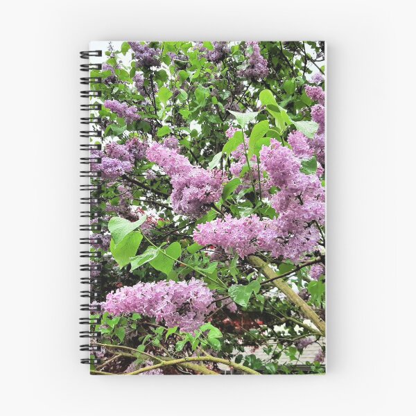 Item preview, Lilacs designed and sold by Lesliebc.
