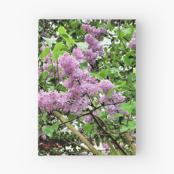 Item preview, Lilacs designed and sold by Lesliebc.