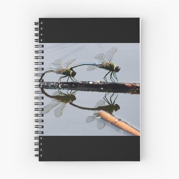 Item preview, Dragonfly Mating Season designed and sold by Shilohlin Pfeiffer.