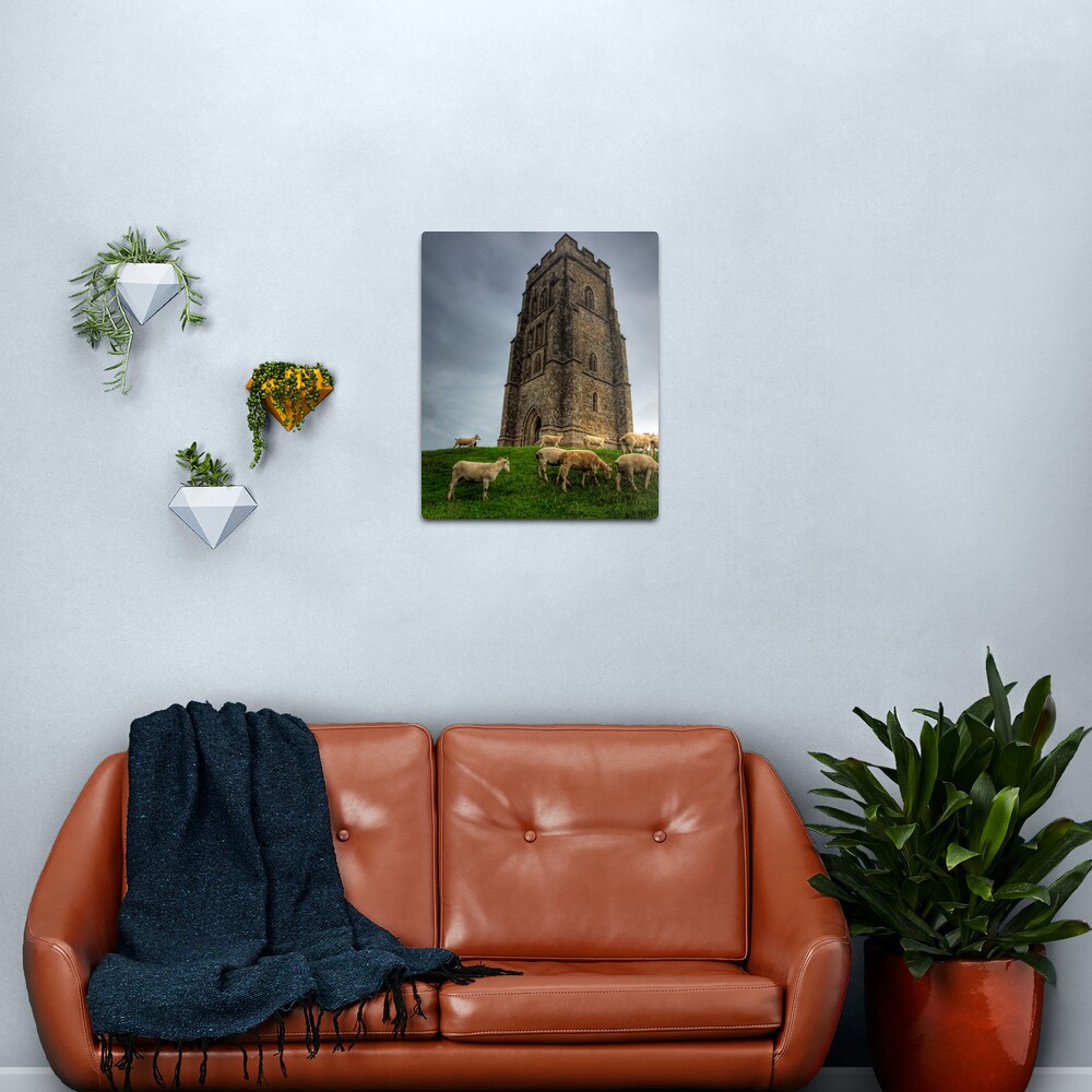 Sheep grazing on Glastonbury Tor Metal Print