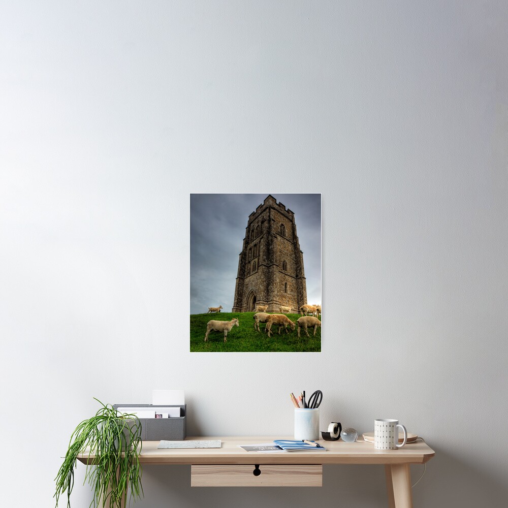 Sheep grazing on Glastonbury Tor Poster