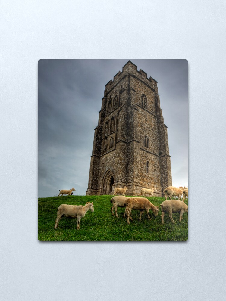 Alternate view of Sheep grazing on Glastonbury Tor Metal Print