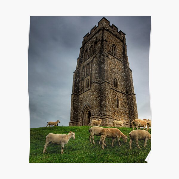Sheep grazing on Glastonbury Tor Poster