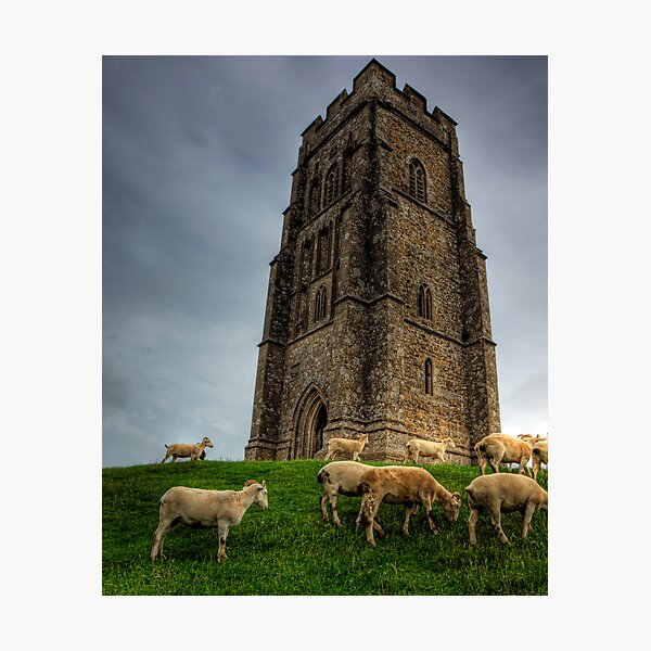 Item preview, Sheep grazing on Glastonbury Tor designed and sold by NeilAlderney.