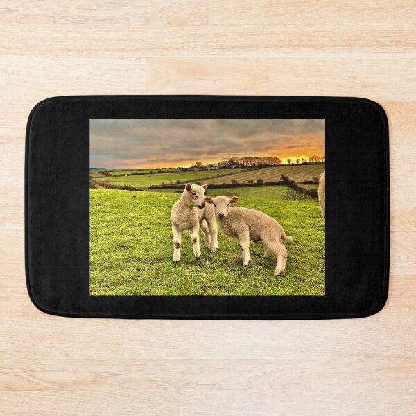 Item preview, Two Little Lambs designed and sold by IBMClothing.