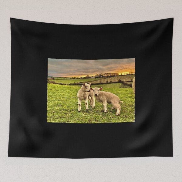 Item preview, Two Little Lambs designed and sold by IBMClothing.