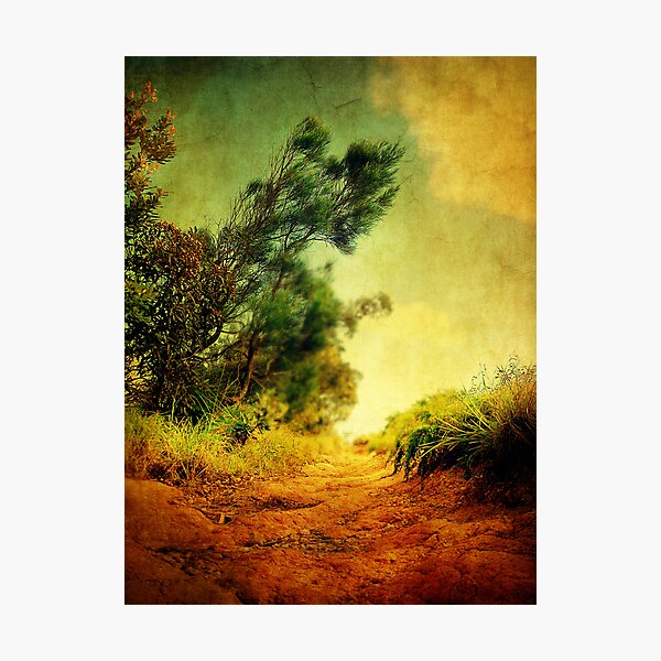Item preview, Bush Walks designed and sold by sprayzz123.