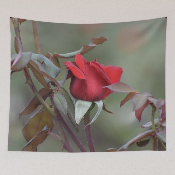 Item preview, The Red Red Rose Bud designed and sold by ReneeKennedy.