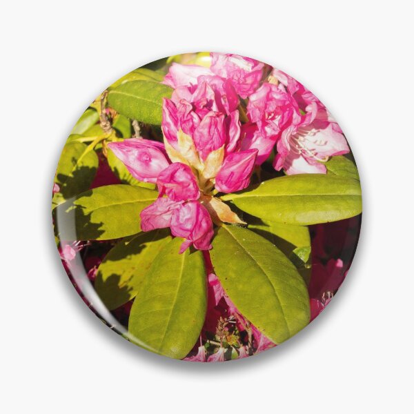 Item preview, Summer In Bloom designed and sold by ellenmpics.