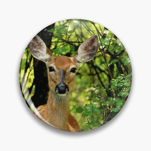 Item preview, Deeritudes - Just Checking You Out - Whitetail Deer Doe - Montana designed and sold by LCAppling.