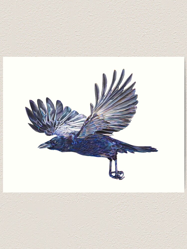 Art Print Wall Decor - The Flight - Ink drawing crow raven illustration 5x7  | eBay