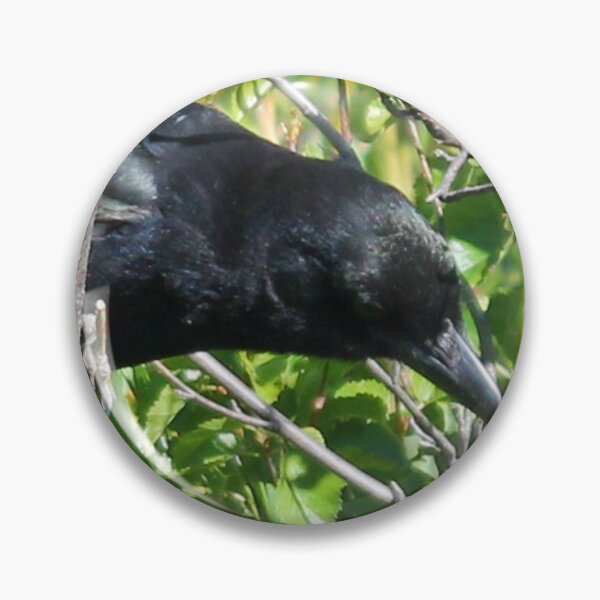 Item preview, Magpie The Trickster Bird designed and sold by Shilohlin Pfeiffer.