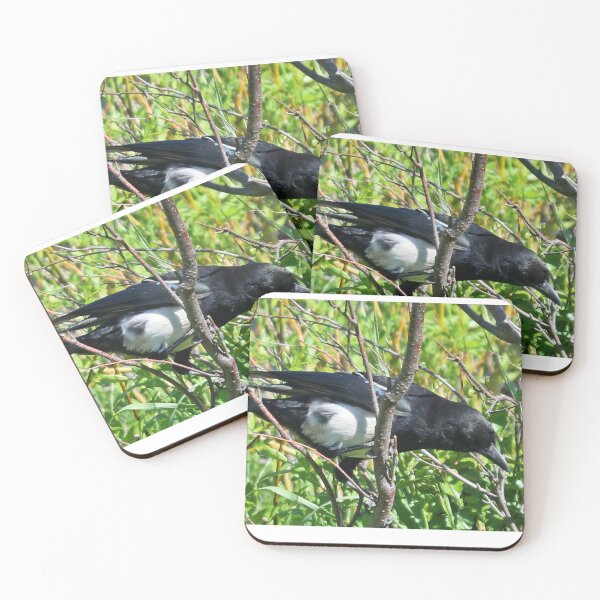 Item preview, Magpie The Trickster Bird designed and sold by Shilohlin Pfeiffer.