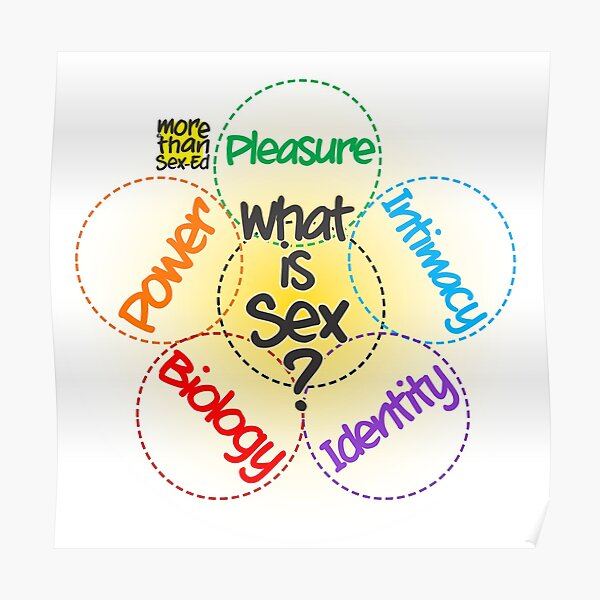 What Is Sex For The Classroom Poster By Motsee Redbubble 