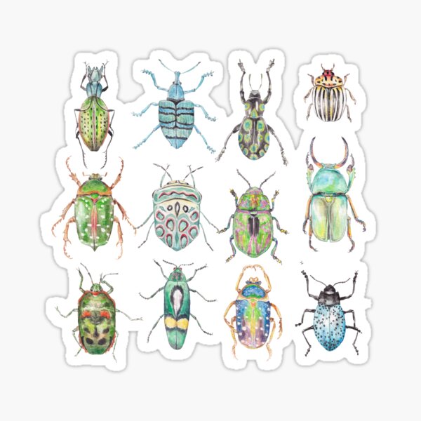 Colorful Beetles in shades of Green Sticker