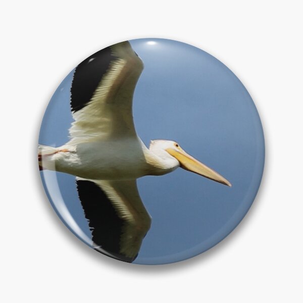 Item preview, The Pelican-Can designed and sold by Shilohlin Pfeiffer.