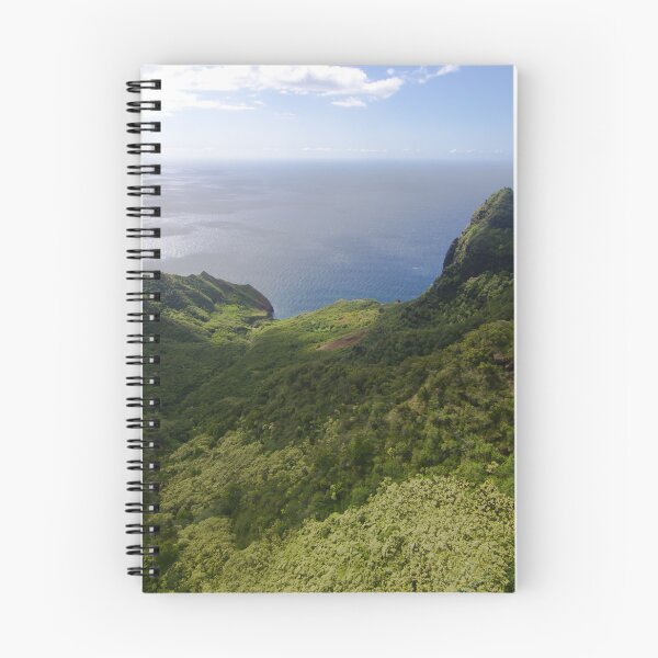 Item preview, Kalalau Valley from Helicopter designed and sold by thatche2.