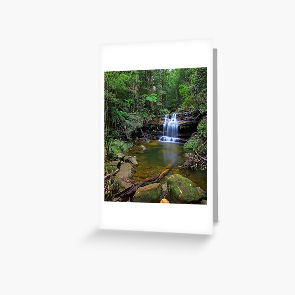 Remedy Greeting Card