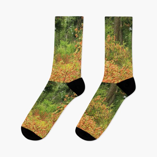 Item preview, In the forest,, Montana, Flathead County, Autumn Colors, yellow leaves, red leaves, brown leaves,  designed and sold by LCAppling.