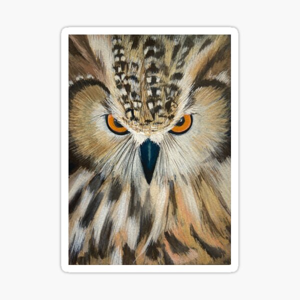 Indian Eagle Owl to watch over you Sticker