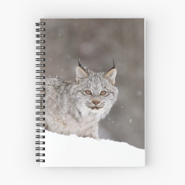 Item preview, Lynx Kitten designed and sold by mlorenz.
