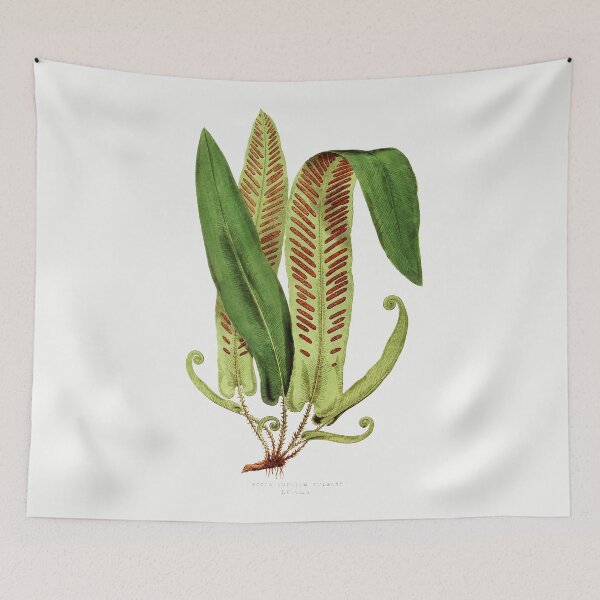Item preview, Antique Botanical Illustration of a Alspenium Fern (1860) designed and sold by moonandcat.